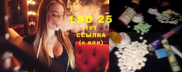 индика Белоозёрский
