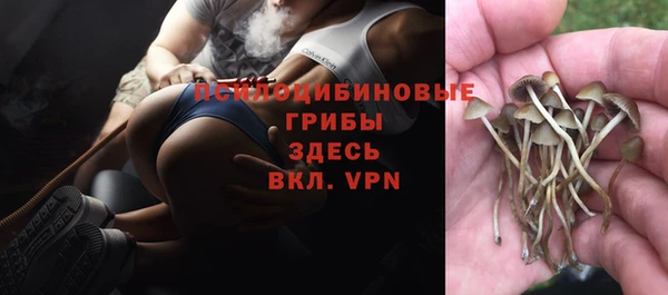 кокаин перу Белокуриха