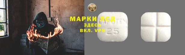индика Белоозёрский