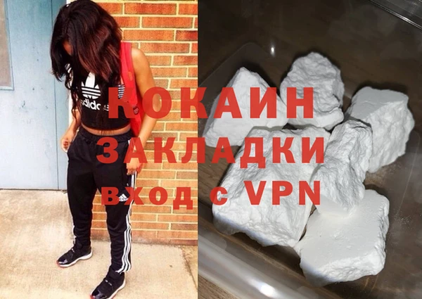 индика Белоозёрский