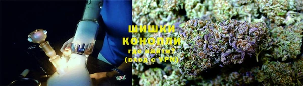 индика Белоозёрский