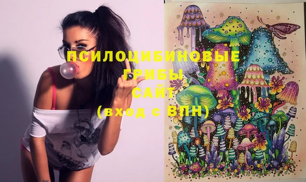 индика Белоозёрский