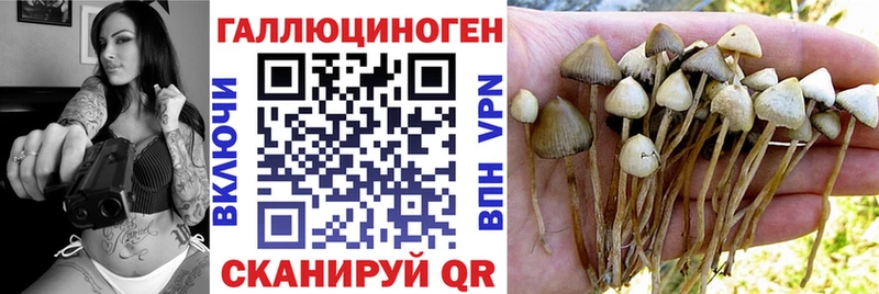 Галлюциногенные грибы Cubensis  закладка  Рудня 